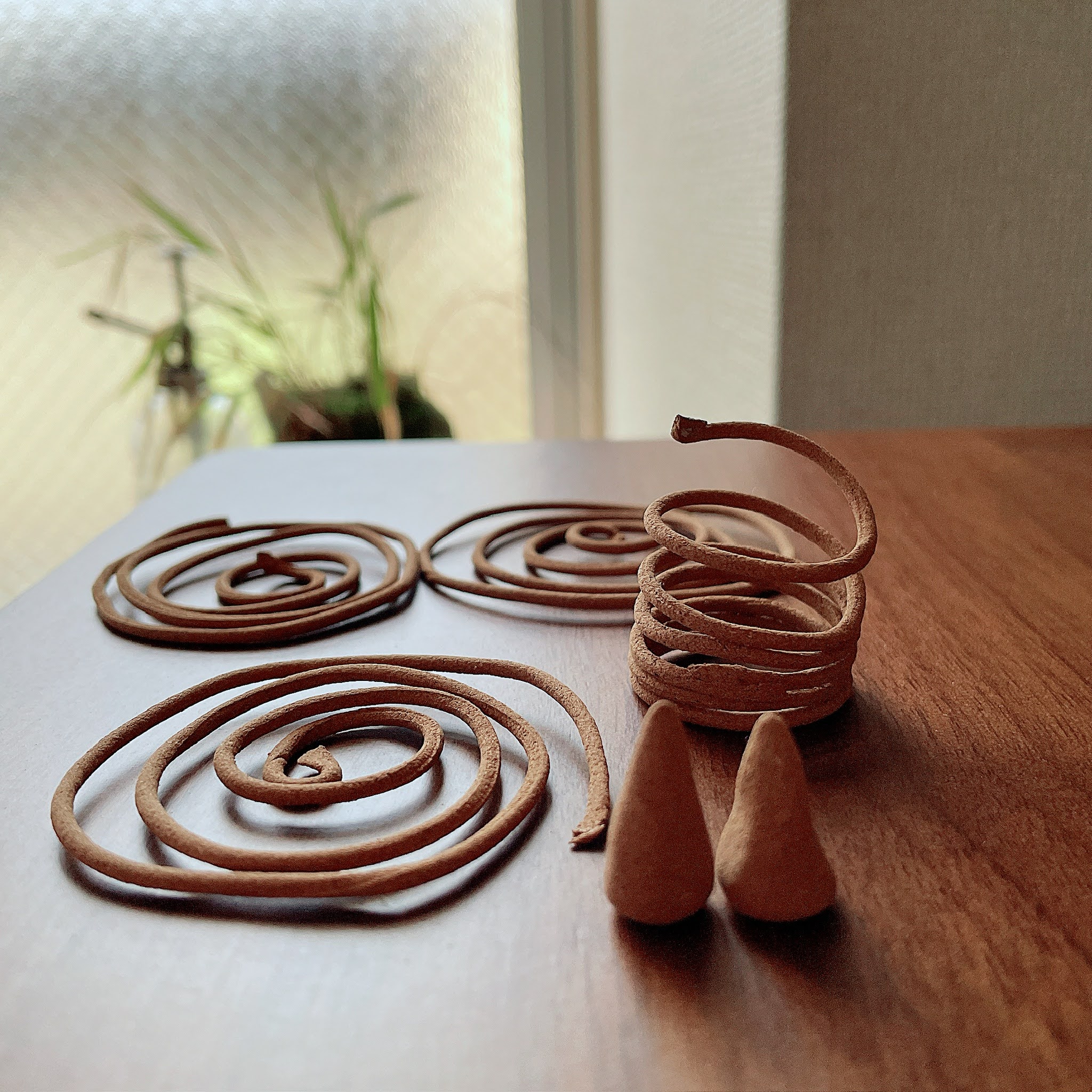 夏を迎えるひとしごと。天然素材だけでつくる、蚊取り線香ワークショップ