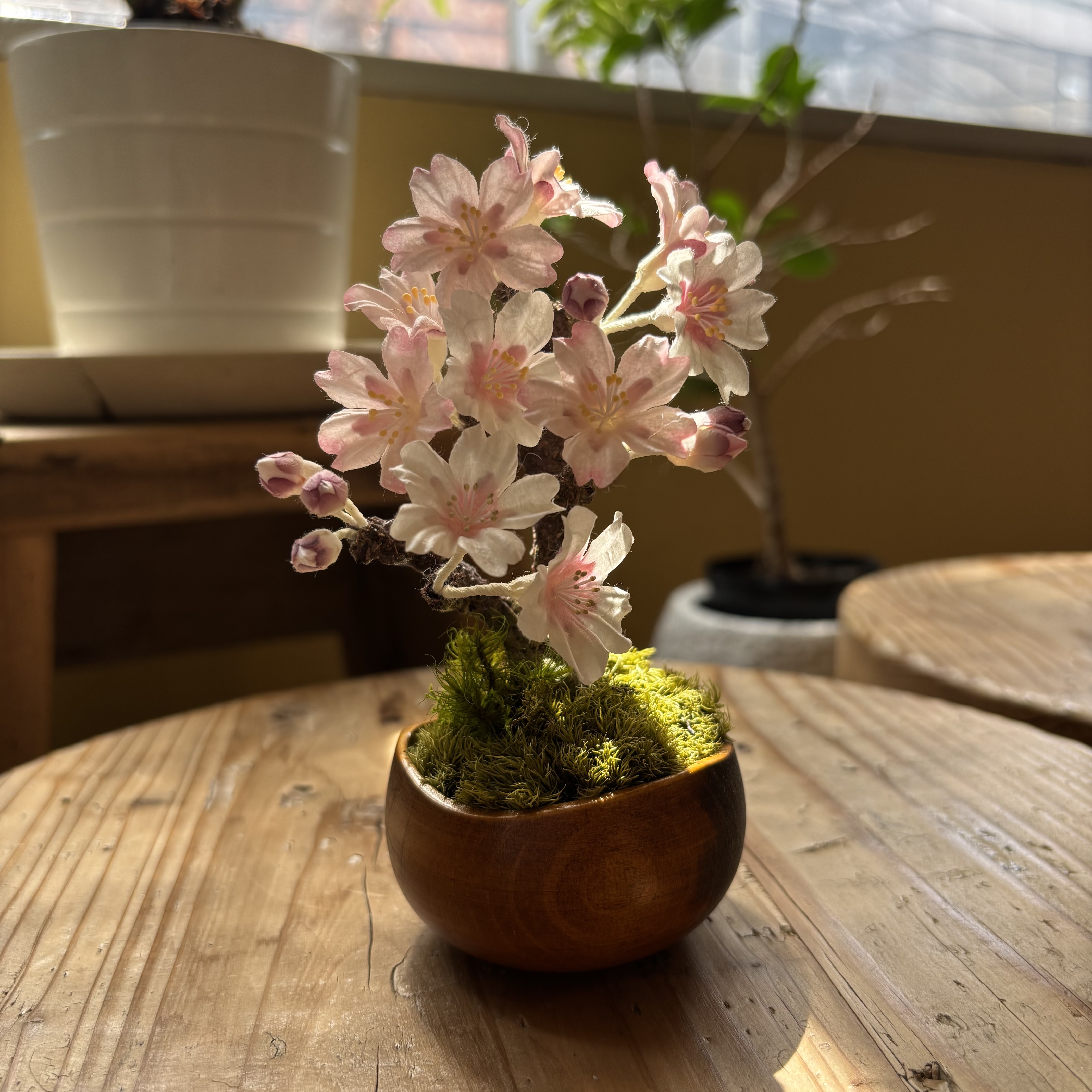 植物のような拭き漆の器と、自然素材だけでつくった材料で桜の盆栽をつくるワークショップ。