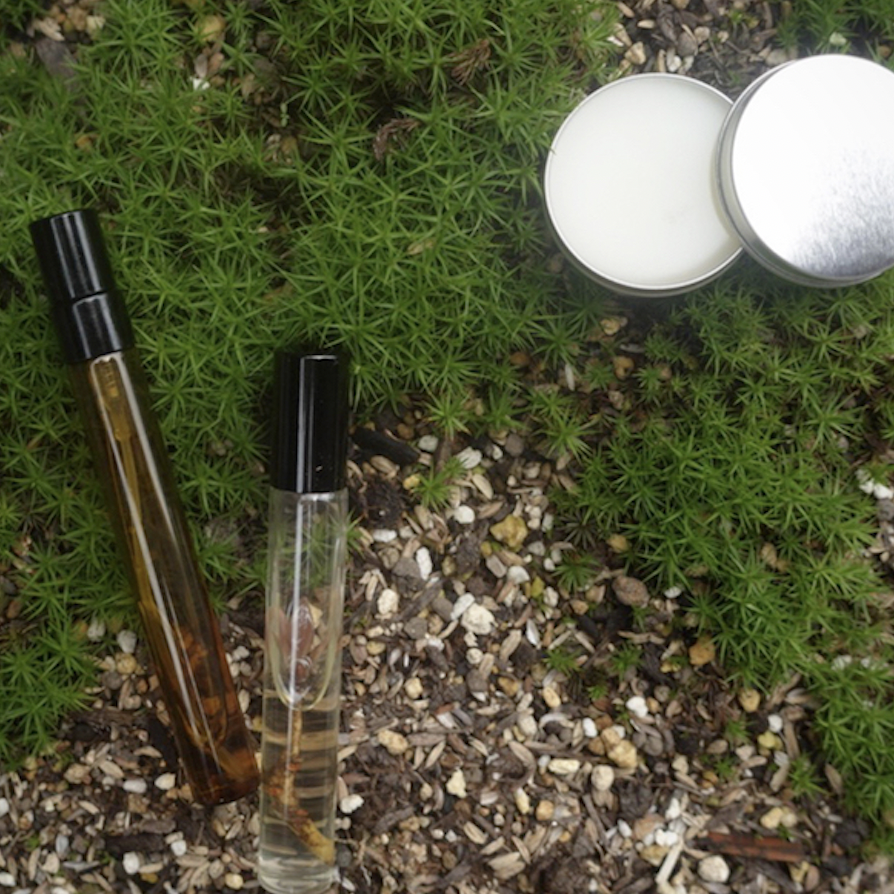 陽が差す森の、クロモジの香りづくりワークショップ。2026