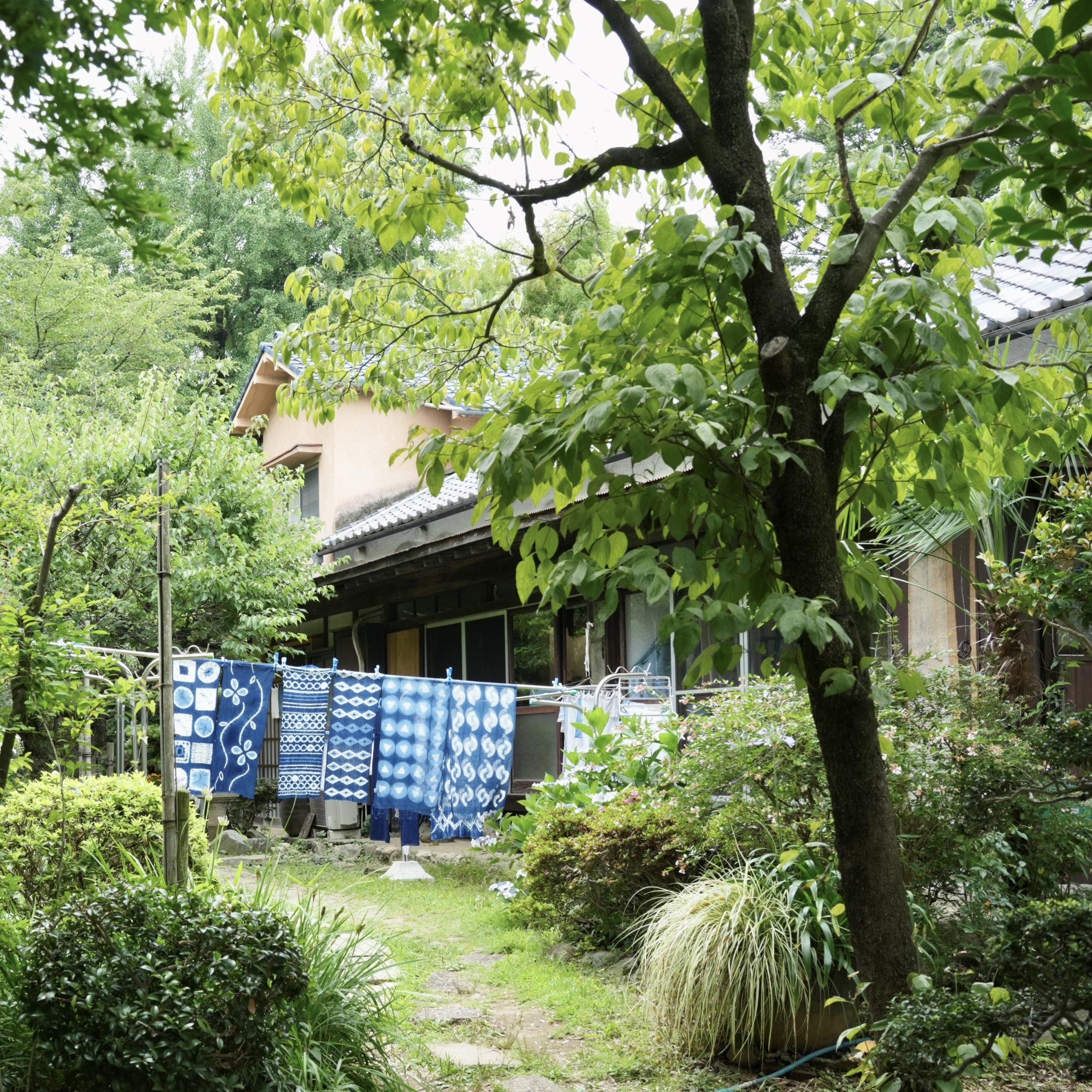 色の収穫から、作品になるまで。全て行う染織工房で、手しごと体感ツアー＆藍の生葉染め体験。