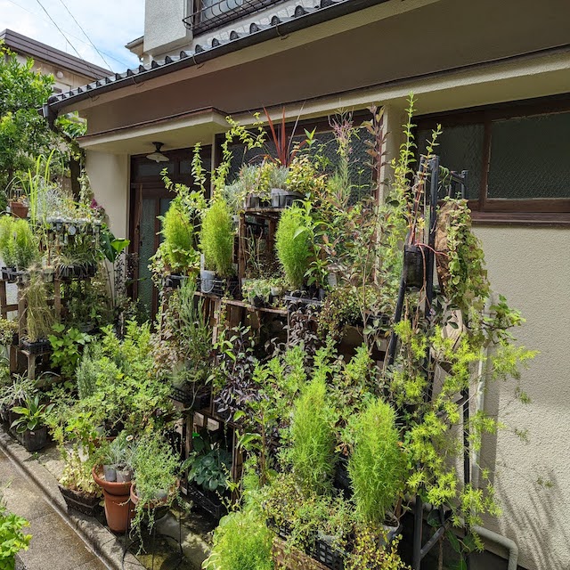 園芸店に教わる。はじめての園芸“店”ワークショップ。